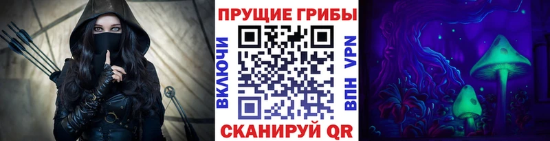 Псилоцибиновые грибы GOLDEN TEACHER цена Оха